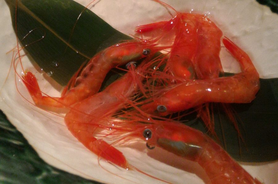 新潟古町　海老の髭　南蛮海老