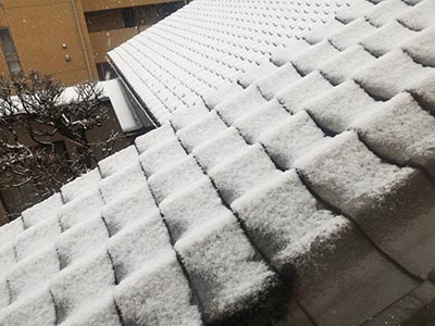 世田谷区は積もりはじめました