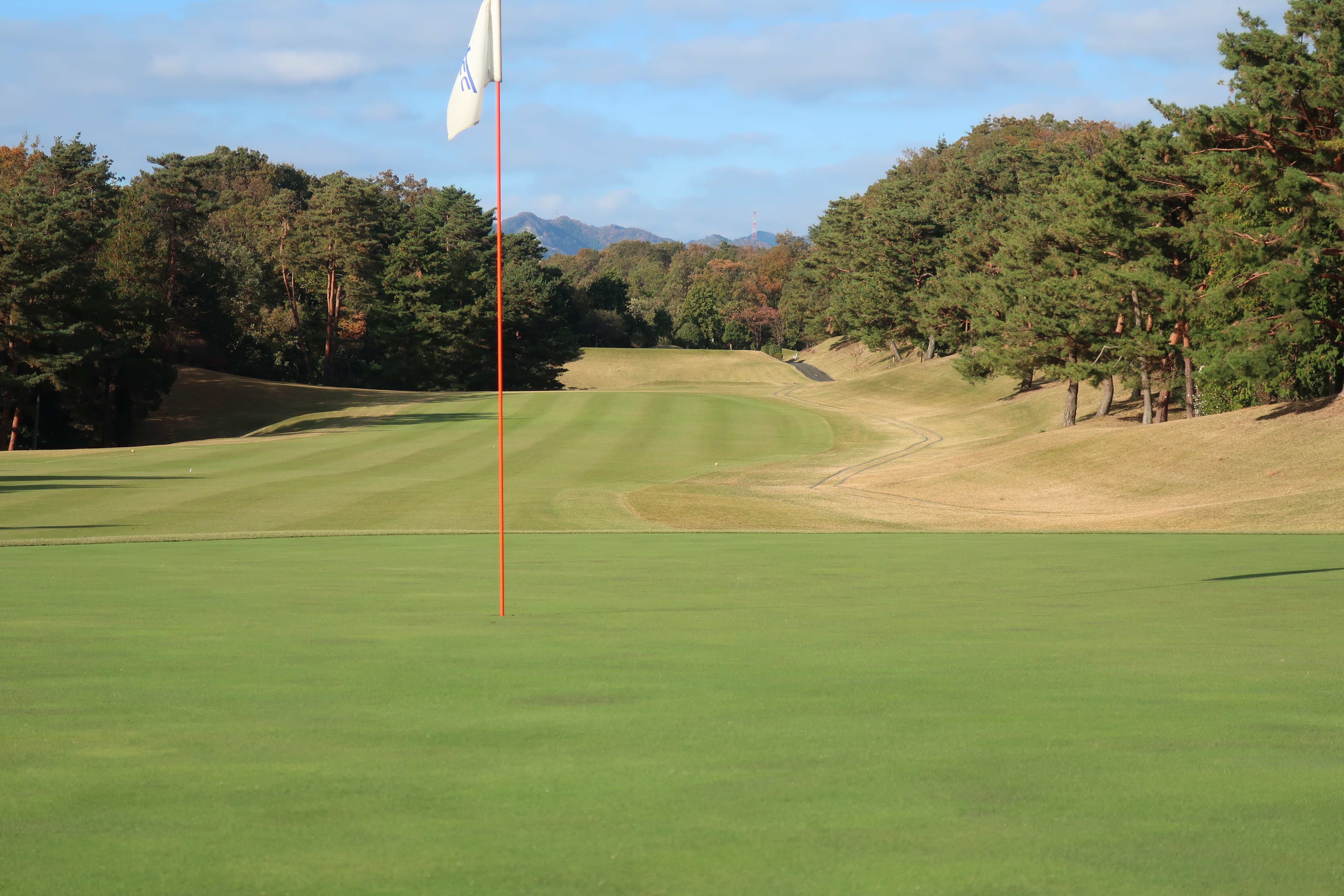 グリーンから見たゴルフコース